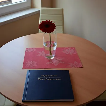 Trg Apartment Visegrad